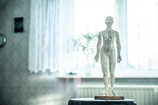 Intuitive Acupuncture summarizes common causes of low back pain